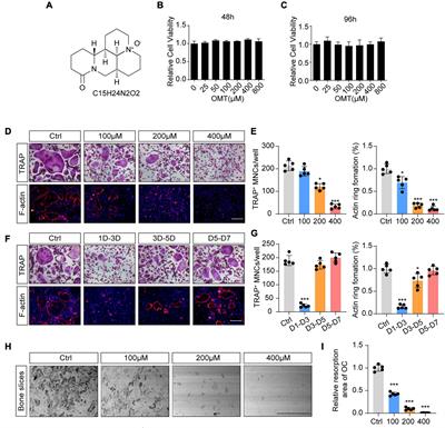 Oxymatrine Attenuates Osteoclastogenesis via Modulation of ROS-Mediated SREBP2 Signaling and Counteracts Ovariectomy-Induced Osteoporosis